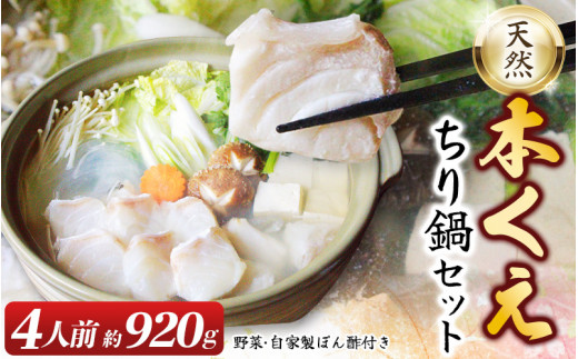天然本クエ 30kg前後 ちり鍋セット4人前 【期間限定・1/31まで】【お野菜・自家製ぽん酢付きのくえ鍋】 ※北海道・沖縄・離島は発送不可 / 鍋 高級 くえ鍋 クエ鍋 野菜 本クエ ポン酢 ぽんず 田辺市 和歌山県 贈答 ギフト ご家庭【gtr004】 1002575 - 和歌山県田辺市