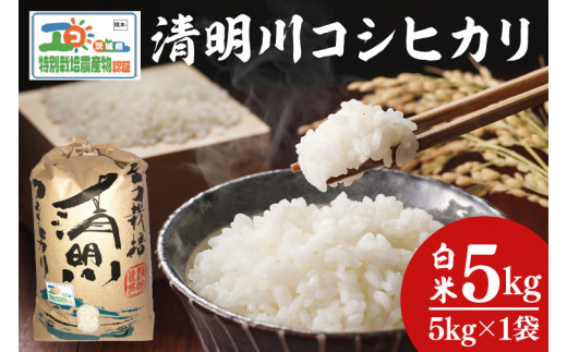 04-01 茨城県特別栽培認証 清明川コシヒカリ白米5kg【令和６年産新米】【米 おこめ こしひかり  特別栽培米 農家直送 直送 茨城県 阿見町】 699173 - 茨城県阿見町