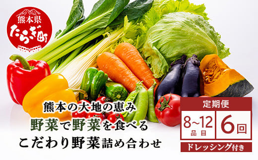 【定期便6回】熊本の大地の恵み≪ 野菜で野菜を食べる ≫ 旬のこだわり 野菜 ＆ドレッシング セット  (3〜4名様向け) 野菜 獲れたて 8～12品 直送 旬 新鮮 定期便 野菜ドレッシング 詰め合わせ 詰合せ  熊本県 多良木町 024-0815 1513482 - 熊本県多良木町