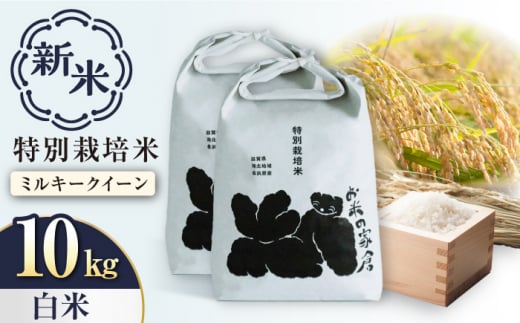 【新米：令和6年産】特別栽培 ミルキークイーン 5kg 白米 ×2袋　滋賀県長浜市/株式会社お米の家倉 [AQCP022] 米 お米 白米 新米 10kg  1453171 - 滋賀県長浜市