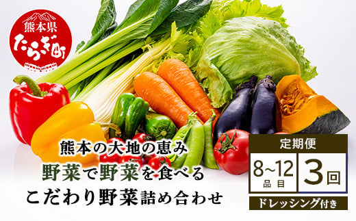 【定期便3回】熊本の大地の恵み≪ 野菜で野菜を食べる ≫ 旬のこだわり 野菜 ＆ドレッシング セット  (3〜4名様向け) 野菜 獲れたて 8～12品 直送 旬 新鮮 定期便 野菜ドレッシング 詰め合わせ 詰合せ  熊本県 多良木町 024-0814 1513481 - 熊本県多良木町