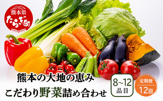 【定期便12回】熊本の大地の恵み 旬の こだわり野菜詰め合わせセット 8〜12品 （3〜4名様向け）12カ月配送 獲れたて 新鮮 野菜 セット 詰め合わせ 詰合せ 定期便 産地 直送 国産 季節 旬野菜 家族 ファミリー 多良木町 024-0812 1513479 - 熊本県多良木町