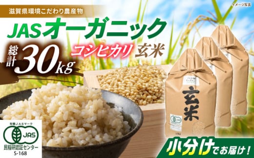 【新米：令和6年産】滋賀県産 JASオーガニック コシヒカリ 玄米 10kg×3袋　滋賀県長浜市/有限会社もりかわ農場 [AQBL011] 米 お米 玄米 新米 30kg  米 お米 ご飯 ごはん ゴハン 1310552 - 滋賀県長浜市