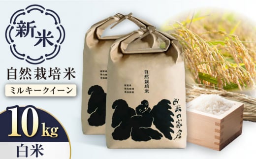 【新米：令和6年産】自然栽培 ミルキークイーン 5kg 白米 ×2袋　滋賀県長浜市/株式会社お米の家倉 [AQCP006] 米 お米 白米 新米 10kg  1500545 - 滋賀県長浜市