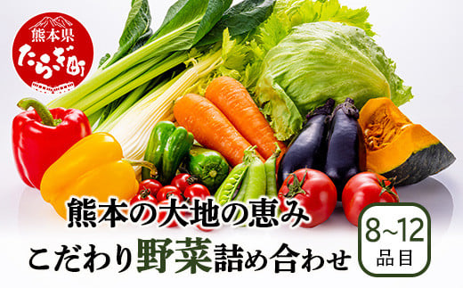 熊本の大地の恵み 旬の こだわり野菜詰め合わせセット 8〜12品 （3〜4名様向け）野菜 獲れたて 新鮮 野菜 セット 詰め合わせ 詰合せ 産地 直送 国産 季節 野菜 家族 ファミリー 多良木町 024-0809 1513476 - 熊本県多良木町