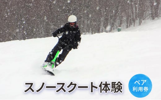 スノースクート体験【体験チケット】体験 チケット 自然 雪 北海道 日高町