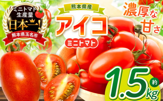 ミニトマト 生産量 日本一 玉名市 !！アイコトマト 約 1.5kg ｜ 野菜 やさい トマト とまと アイコ 人気 熊本県 玉名市 くまもと たまな 1501307 - 熊本県玉名市