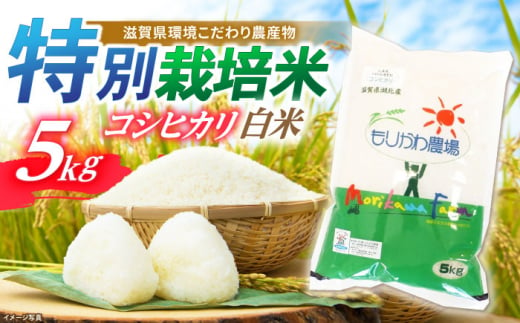 【新米：令和6年産】滋賀県産 低農薬有機肥料栽培 コシヒカリ 白米5Kg 令和6年産 滋賀県長浜市/有限会社もりかわ農場 [AQBL001] 米 お米 白米 新米 5kg  米 お米 ご飯 ごはん ゴハン 1310538 - 滋賀県長浜市