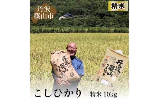 【令和6年産 新米】丹波篠山産コシヒカリ白米10kg 755196 - 兵庫県丹波篠山市