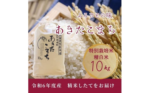 【11月中旬より発送予定】令和6年度産　お届前に精米　特別栽培米「あきたこまち」精白米10kg 1498640 - 秋田県大仙市