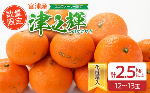 数量限定 津之輝 計2.5kg以上 果物 フルーツ くだもの みかん 柑橘 先行予約 2025年 期間限定 デザート おやつ ジュース フルーツサンド おすすめ 国産 食品 ギフト 贈り物 贈答 ご褒美 お祝い 記念日 おすそ分け 産地直送 宮崎県 日南市 送料無料_BA69-23 364612 - 宮崎県日南市