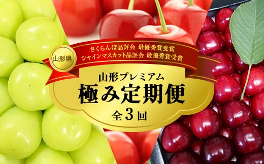 山形プレミアム極み定期便[希少数量限定]最優秀賞 長谷部農園さくらんぼ、佐藤大輔 シャインマスカット贅沢三昧 合計3回満喫セット [さくらんぼ2Lサイズ 500g 化粧詰め×2品種とシャインマスカット1房 700g 化粧箱] [佐藤錦・鷹山] 特秀品 桜桃 山形県産 さくらんぼ シャインマスカット [先行予約 2025年度6月発送開始]