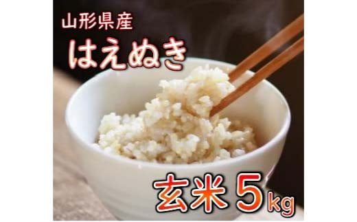 はえぬき 玄米 5kg 【令和6年産】 2024年12月発送 山形県産 米 コメ こめ F3S-2253 1514089 - 山形県新庄市