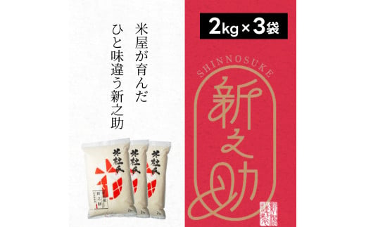  特別栽培米 新之助 6kg (2kg×3袋) 米杜氏 壱成 白米 精米 大粒 つや 光沢 弾力 芳醇 1H01015 233706 - 新潟県阿賀野市