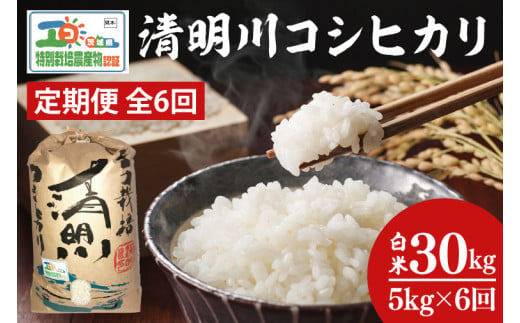 04-04【6ヶ月定期便】茨城県特別栽培認証 清明川コシヒカリ白米5kg【令和6年産新米】【米 おこめ こしひかり  特別栽培米 農家直送 直送 茨城県 阿見町】 699176 - 茨城県阿見町