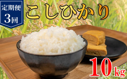 定期便 3回 コシヒカリ 無洗米 10kg 令和6年産 米 こめ ご飯 ごはん おにぎり 白米 精米 新米 無洗米 卵かけご飯 食品 備蓄 備蓄米 保存 防災 ギフト 贈答 プレゼント お取り寄せ グルメ 送料無料 徳島県 阿波市 須見商店 1500816 - 徳島県阿波市