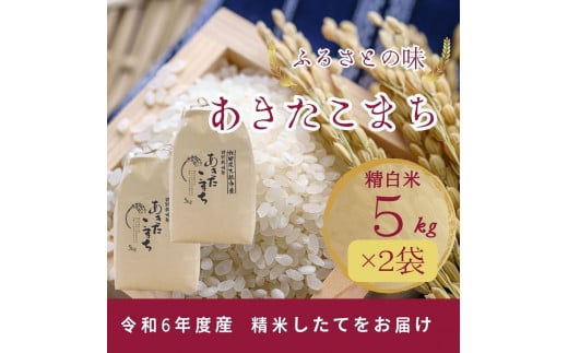 【11月中旬より発送予定】令和6年度産　特別栽培米「あきたこまち」精白米5kg×2袋合計10kg 1498641 - 秋田県大仙市