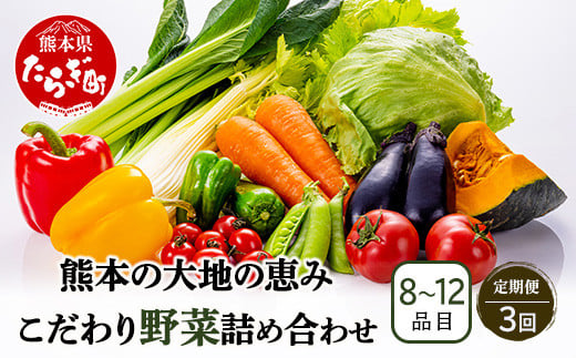 【定期便3回】熊本の大地の恵み 旬の こだわり野菜詰め合わせセット 8〜12品 （3〜4名様向け）3回配送 獲れたて 新鮮 野菜 セット 詰め合わせ 詰合せ 定期便 産地 直送 国産 季節 旬野菜 家族 ファミリー 多良木町 024-0810 1513477 - 熊本県多良木町