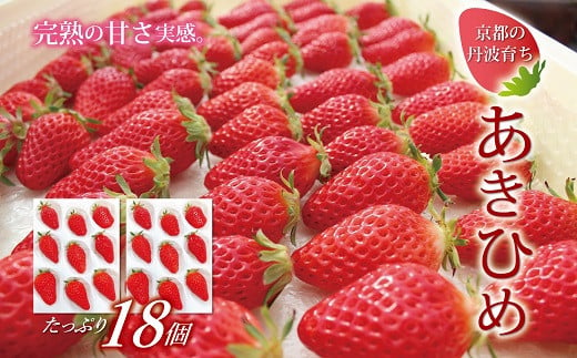 【2025年1月以降発送予定】京都・丹波高原育ちのいちご「あきひめ」レギュラー 18個 （9個×2パック） 京丹波町産 完熟 いちご 甘さ抜群 京都誠志郎農園 ※北海道・東北・沖縄・その他離島は配送不可 [011KS001] 295813 - 京都府京丹波町