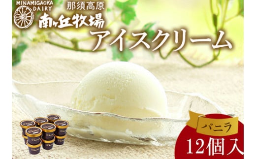 南ヶ丘牧場 アイスクリーム バニラ 12個入 ｜ スイーツ アイス 高級アイス 乳牛 乳製品 ジェラート 人気 おすすめ 冷凍 那須 栃木県 那須町〔P-261〕 1499841 - 栃木県那須町