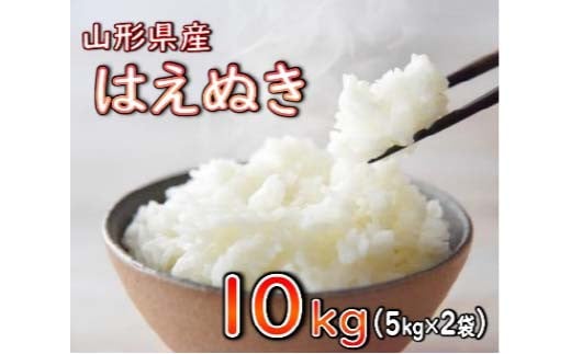 はえぬき 精米 10kg（5kg×2袋） 【令和6年産】 2024年12月発送 山形県産 米 コメ こめ F3S-2252 1514087 - 山形県新庄市