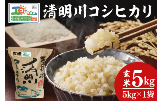 04-19 茨城県特別栽培認証 清明川コシヒカリ玄米 5㎏【令和6年産新米】【米 おこめ こしひかり  特別栽培米 農家直送 直送 茨城県 阿見町】 699287 - 茨城県阿見町