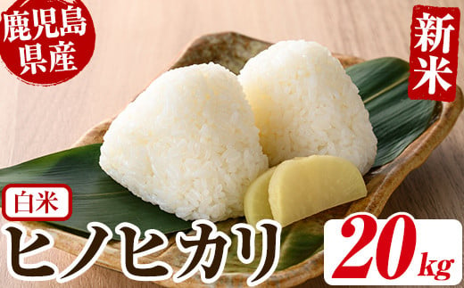 No.563-G ＜新米・令和6年産！＞国産米！鹿児島県産ヒノヒカリ白米(20kg) 国産 九州産 鹿児島県産 米 お米 おこめ  おにぎり お弁当 ご飯 ごはん 令和6年産 新米【ライスセンターひがし】