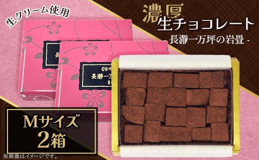 生チョコレート「長瀞一万坪の岩畳」Ｍサイズ（約133g×2箱入り）