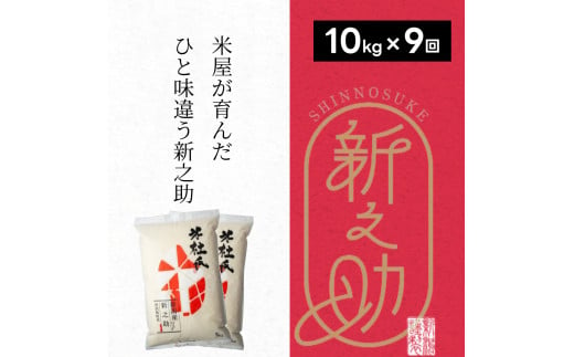 【9ヶ月定期便】 特別栽培米 新之助 10kg (5kg×2袋)×9回 米杜氏 壱成 白米 精米 大粒 つや 光沢 弾力 芳醇 1H29208 1090147 - 新潟県阿賀野市