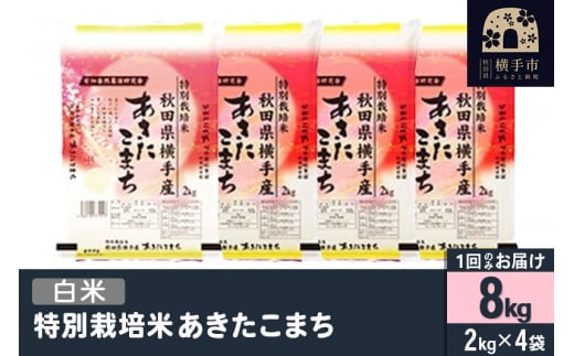 【白米】令和6年産 特別栽培米 あきたこまち 8kg（2kg×4袋） 1022783 - 秋田県横手市