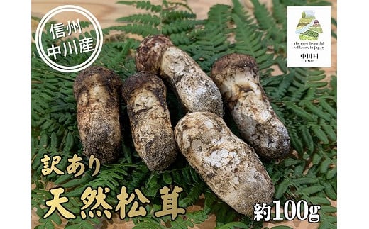 中川村の秋の味覚　松茸（訳あり）　約100g 1500803 - 長野県中川村