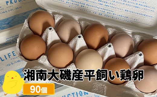 湘南大磯産平飼い鶏卵 90個＜2024年12月1日出荷開始～2025年6月30日出荷終了＞【 たまご 神奈川県 大磯町 】 1501355 - 神奈川県大磯町