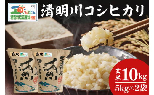 04-20 茨城県特別栽培認証 清明川コシヒカリ玄米 5㎏×2袋【令和6年産新米】【米 おこめ こしひかり  特別栽培米 農家直送 直送 茨城県 阿見町】 699288 - 茨城県阿見町