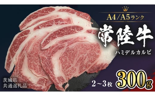 【 常陸牛 】 ハミデルカルビ 300ｇ (2～3枚) （茨城県共通返礼品） カルビ 黒毛和牛 国産黒毛和牛 和牛 国産 牛肉 牛 お肉 肉 ひたち牛 冷凍[CD052sa]