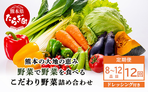 【定期便12回】熊本の大地の恵み≪ 野菜で野菜を食べる ≫ 旬のこだわり 野菜 ＆ドレッシング セット  (3〜4名様向け) 野菜 獲れたて 8～12品 直送 旬 新鮮 定期便 野菜ドレッシング 詰め合わせ 詰合せ  熊本県 多良木町 024-0816 1513483 - 熊本県多良木町