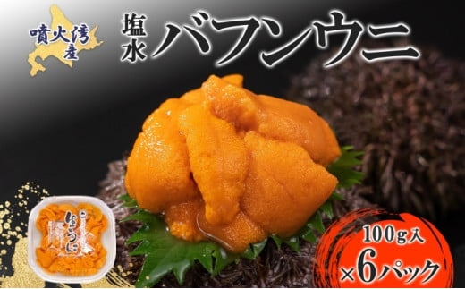 [№5525-0871]北海道 噴火湾産 塩水 バフンウニ 100g 6パック 計600g うに ウニ 雲丹 海鮮 海の幸 魚介類 ウニ丼 お寿司 濃厚 無添加 産地直送 お取り寄せ 山村水産 送料無料  1279100 - 北海道伊達市