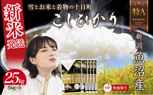 令和6年産 新潟県 魚沼産 コシヒカリ お米 25kg （5kg×5袋）精米済み（お米の美味しい炊き方ガイド付き） お米 こめ 白米 新米 こしひかり 食品 人気 おすすめ 送料無料 魚沼 十日町 十日町市 新潟県産 新潟県 精米 産直 産地直送 お取り寄せ 1498679 - 新潟県十日町市