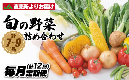 【毎月お届け】むなかた旬のお任せセット（野菜）7～9品【JAほたるの里】_HB0173 1501908 - 福岡県宗像市