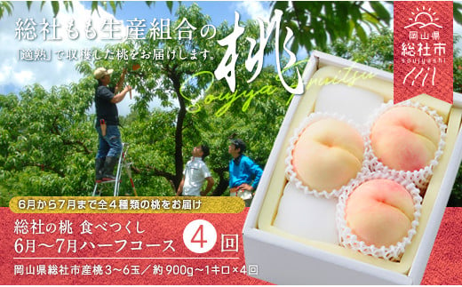 【4回定期便】桃 食べつくしハーフコース（6月～7月の桃）岡山県総社もも生産組合【2025年産先行予約】25-056-001 1324741 - 岡山県総社市