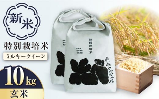 【新米：令和6年産】特別栽培 ミルキークイーン 5kg 玄米 ×2袋　滋賀県長浜市/株式会社お米の家倉 [AQCP021] 米 お米 玄米 新米 10kg  1453172 - 滋賀県長浜市