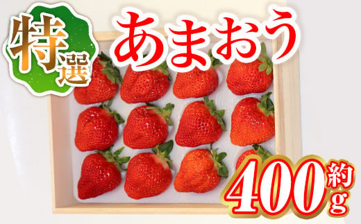 ＜先行予約受付中・2024年12月中旬より順次発送＞特選あまおう(計約400g) 苺 フルーツ 果物 エクセレント 数量限定 冷蔵 高級 スイーツ ケーキ ケーキ作り 厳選 贈答用＜離島配送不可＞【ksg1511】【よっちゃんファーム】 1501396 - 福岡県春日市