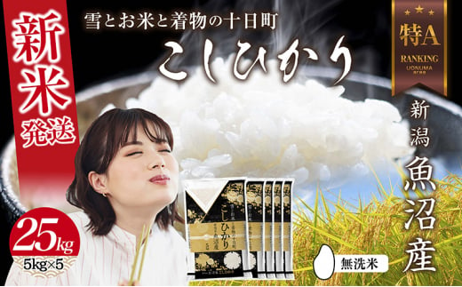  無洗米 令和6年産 新潟県 魚沼産 コシヒカリ お米 25kg （5kg×5袋）精米済み（お米の美味しい炊き方ガイド付き） お米 こめ 白米 新米 こしひかり 食品 人気 おすすめ 送料無料 魚沼 十日町 十日町市 新潟県産 新潟県 精米 産直 産地直送 お取り寄せ 1498680 - 新潟県十日町市