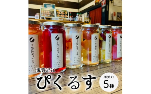 滋賀近江ぴくるす 季節の5種セット 滋賀県長浜市/株式会社わたなべ陶器 [AQAC019]