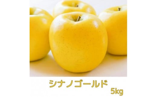 [南信州高森産]シナノゴールド5kg 秀[10月下旬発送]