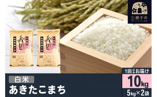 秋田県横手市のふるさと納税 【白米】令和6年産 横手市産 あきたこまち 10kg（5kg×2袋）