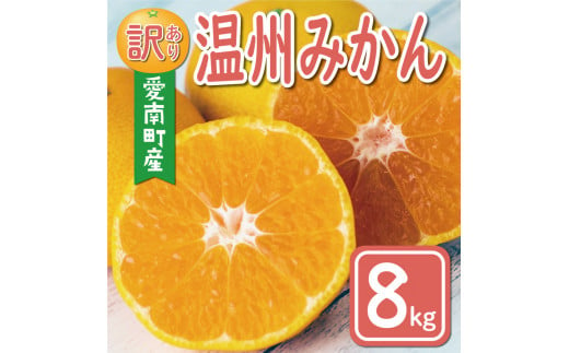 先行予約 訳あり 温州みかん 8kg 10000円 愛媛 みかん こたつ みかん 愛媛みかん ミカン mikan 家庭用 産地直送 国産 農家直送 糖度 果樹園 期間限定 数量限定 特産品 ゼリー ジュース アイス 人気 限定 甘い 果実 果肉 フルーツ 果物 柑橘 蜜柑 先行 事前 予約 受付 ビタミン 健康 おいしい ジューシー 規格外 サイズ ミックス 愛南町 愛媛県 ミッチーのおみかん畑