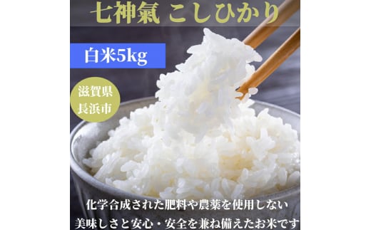 [新米:令和6年産]七神氣こしひかり (有機栽培) 白米 5kg 滋賀県長浜市/七神氣 金子嘉徳 [AQCN001] 米 お米 白米 新米 5kg