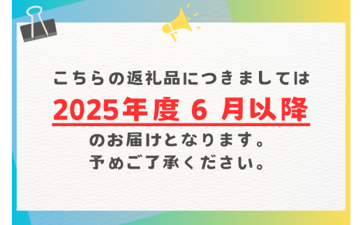 沖縄県糸満市のふるさと納税 【 先行予約 2025年 発送 】 農家直送 ! 太陽ファームのマンゴー 2kg ( ご家庭用 ) マンゴー 沖縄県産 マンゴー アップルマンゴー アーウィンマンゴー 完熟マンゴー 果物 南国 くだもの フルーツ 完熟 夏 旬 沖縄 お取り寄せ 産地直送 糸満市