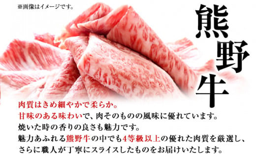 和歌山産 高級和牛 熊野牛 赤身しゃぶしゃぶ用 約600g エバグリーン《30日以内に出荷予定(土日祝除く)》 和歌山県 日高町 牛 うし 牛肉 熊野牛  和牛 高級 - 和歌山県日高町｜ふるさとチョイス - ふるさと納税サイト