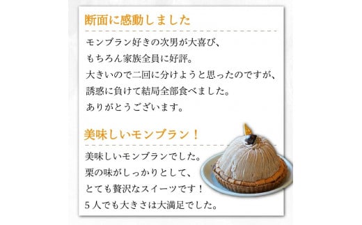 愛媛県愛南町のふるさと納税 【 着日指定可 】菓子職人が作った モンブラン （ 1ホール :約 700g）秋 旬 国産 栗 スイーツ 12000円 らんきんぐ オリジナル ケーキ 和栗 クリスマス モンブラン ケーキ 誕生日 母の日 父の日 ギフト プレゼント もんぶらん 冷凍 マロン ペースト 人気 洋菓子 お取り寄せ まろん おいしい ホールケーキ デザート バター イベント おやつ 菓子 お菓子 寿提夢 愛南町 愛媛県